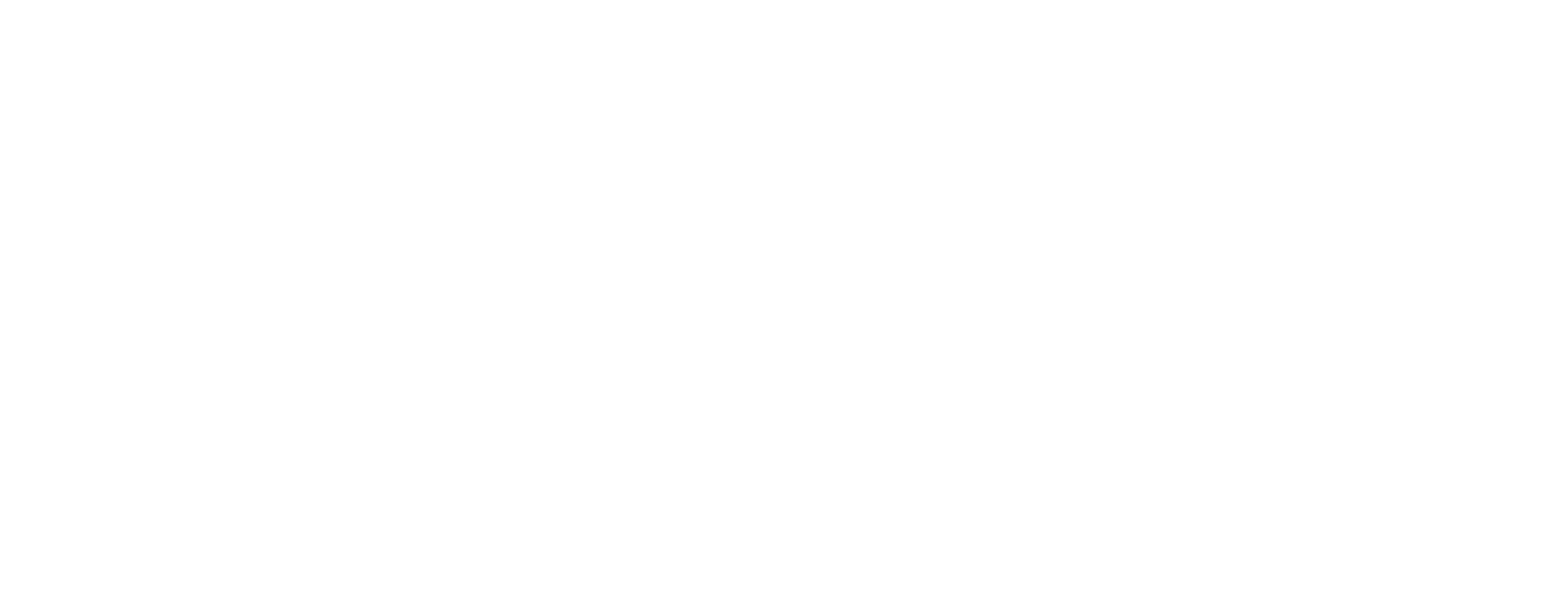 logo white